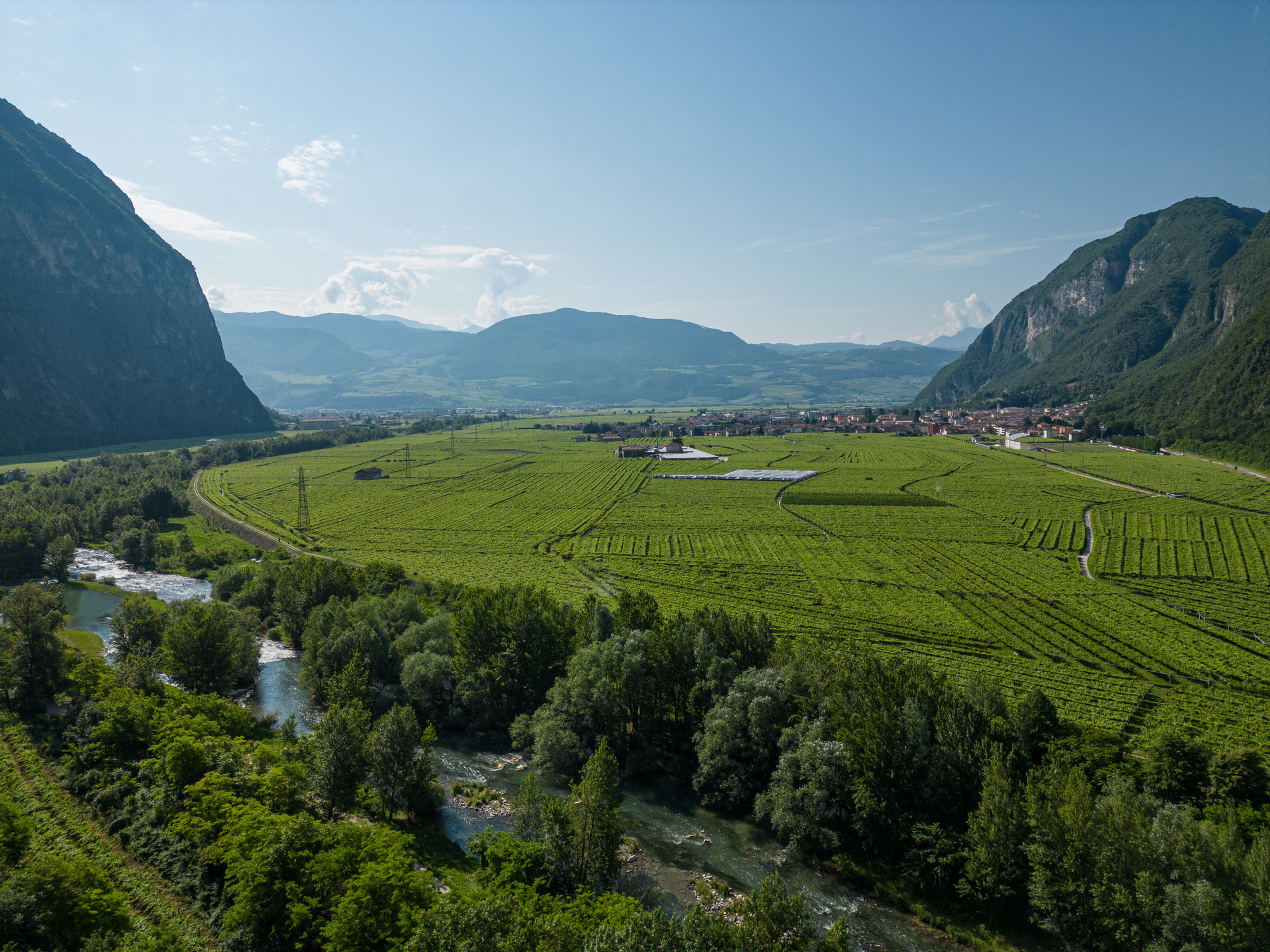Vigenti Piana Rotaliana