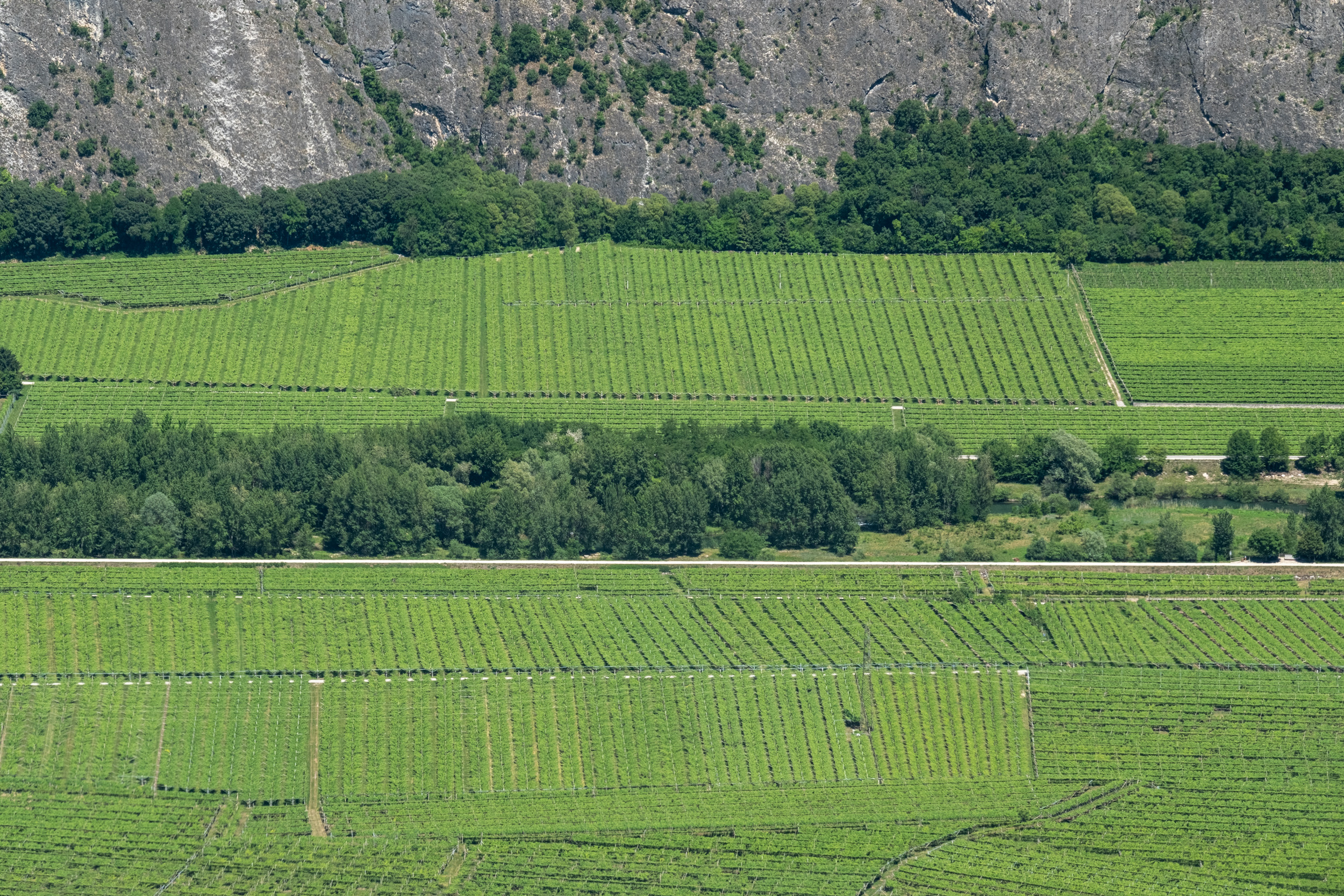 Panoramica Da Fai Della Paganella Sulla Rotaliana