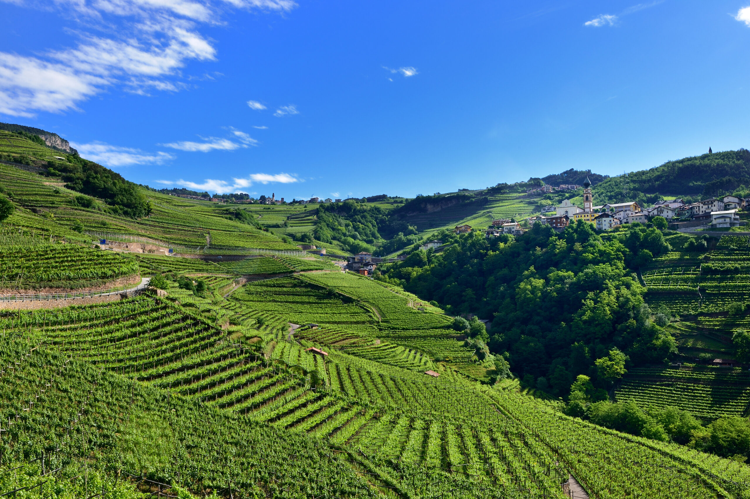 01 VALLE DI CEMBRA