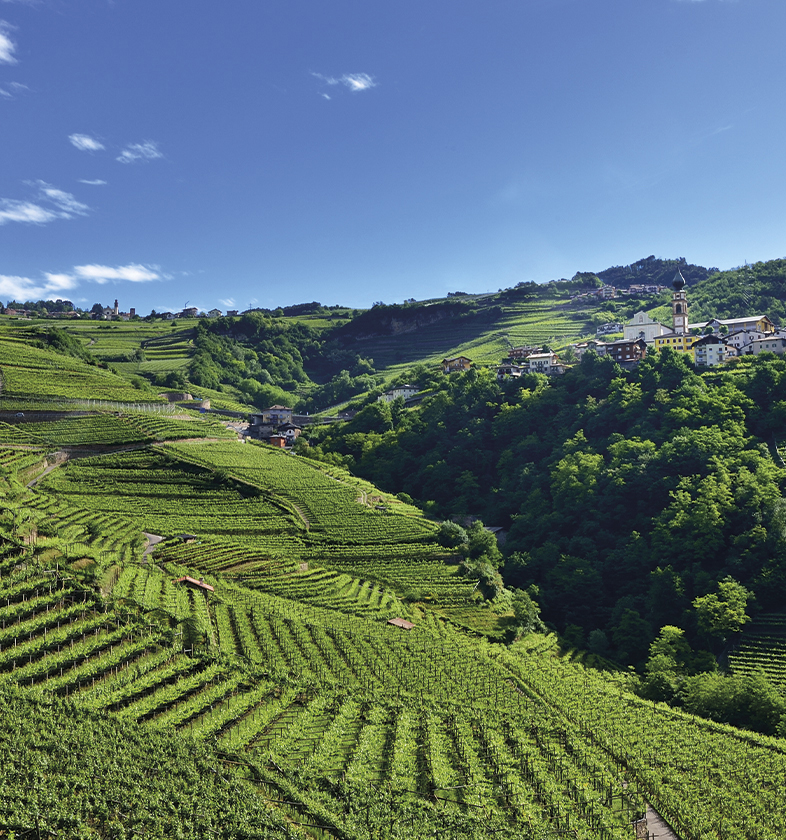 01 Valle Di Cembra
