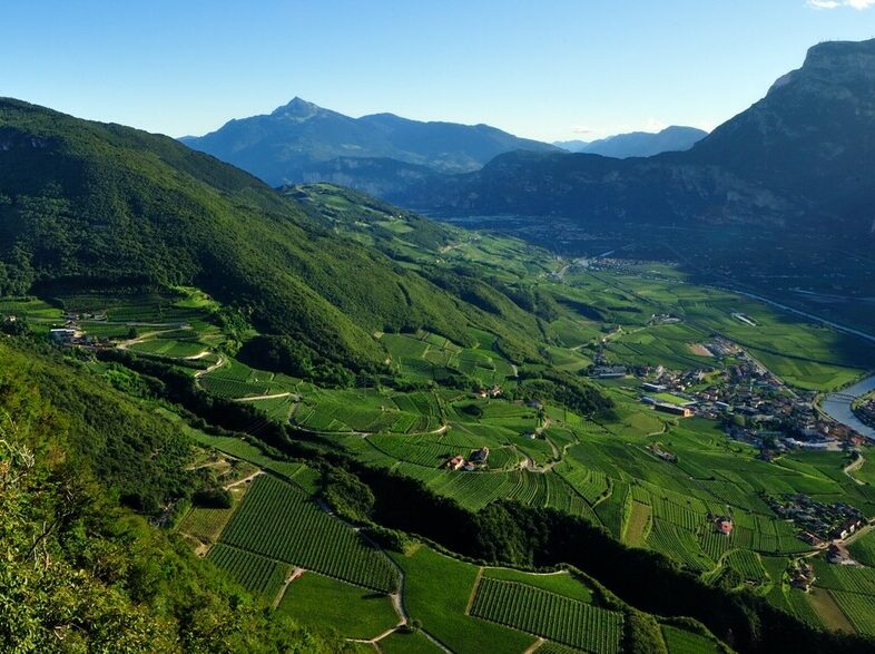 04 VALLE DELL'ADIGE Cut