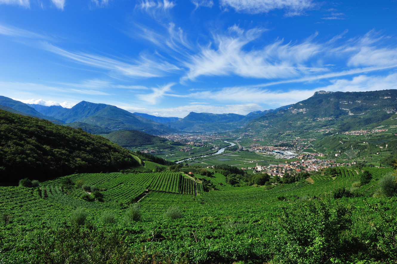 34 ROVERETO E LA VALLAGARINA