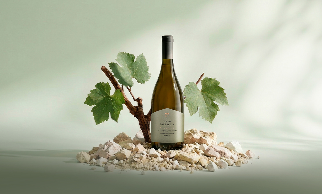 Card Linea Vini Maso