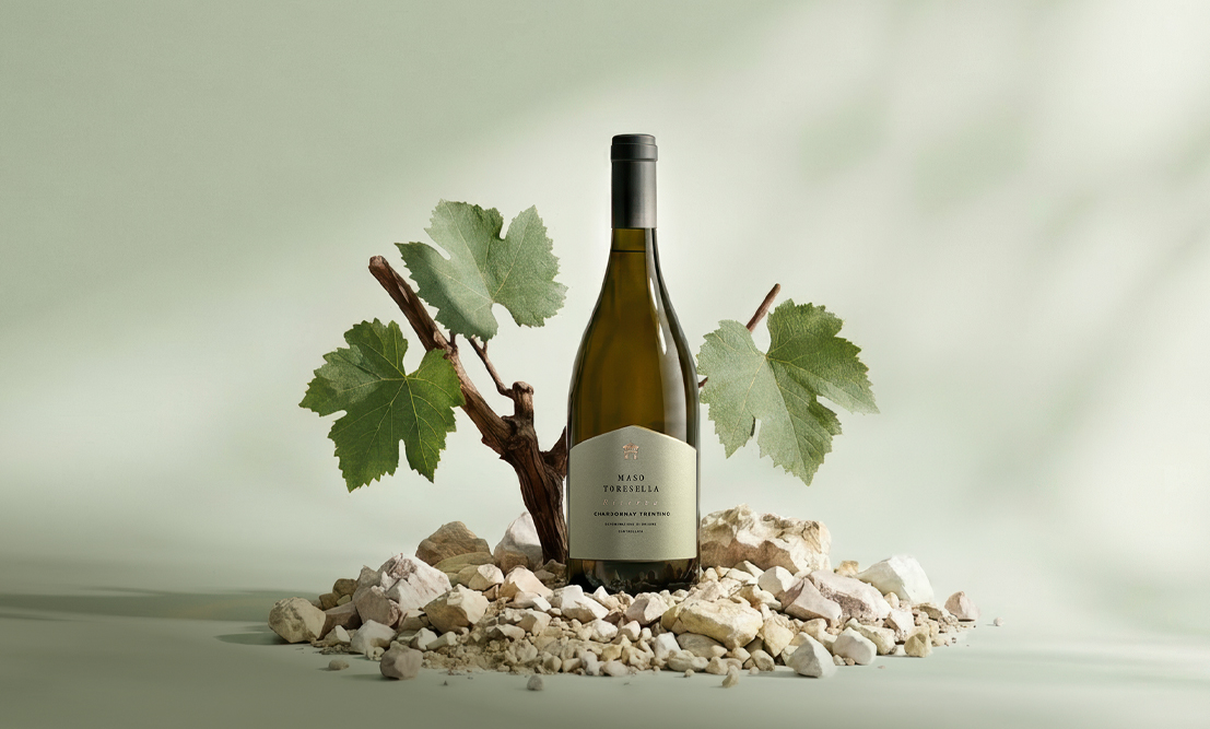 Card Linea Vini Maso