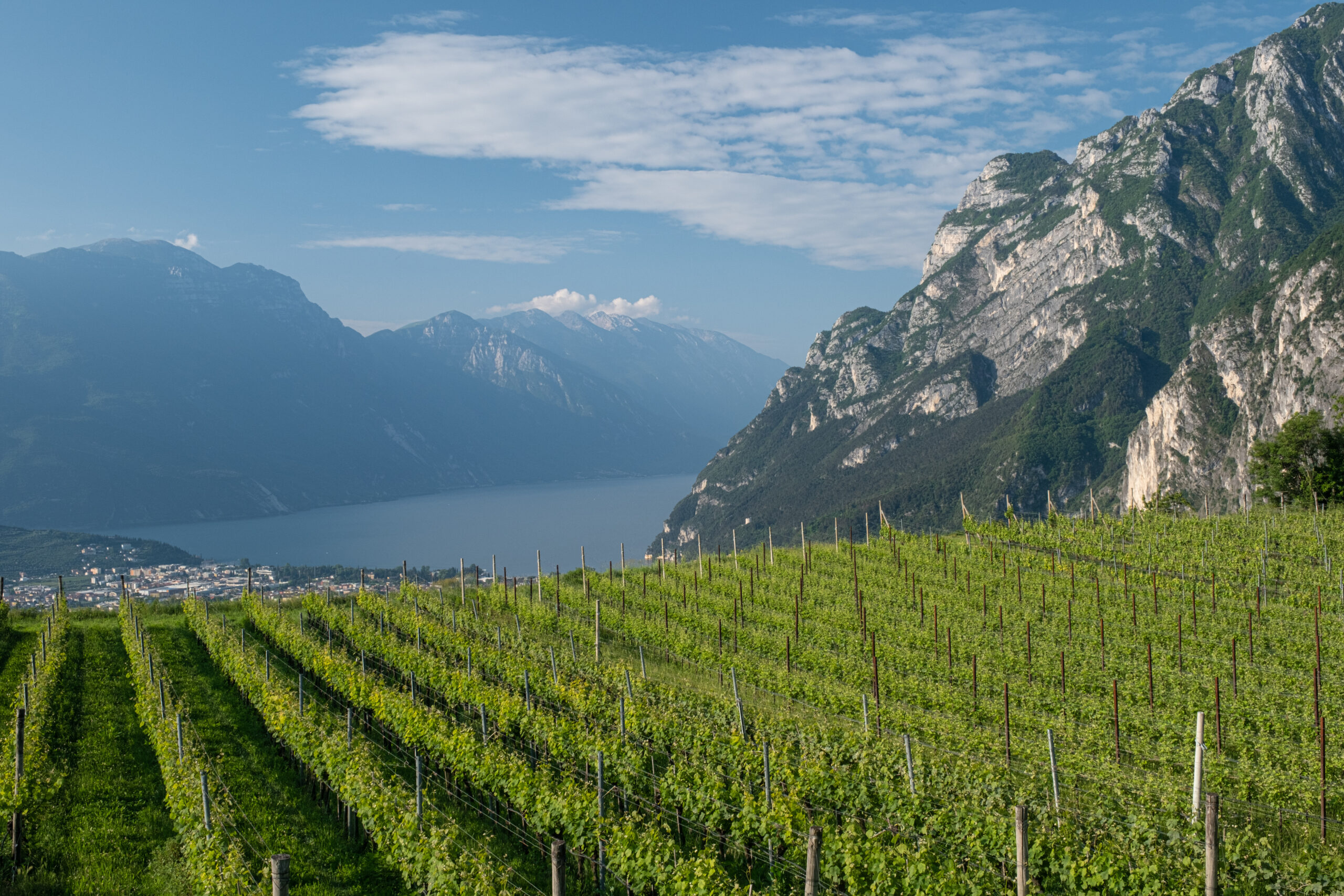 Valle Dei Laghi E Dettgli