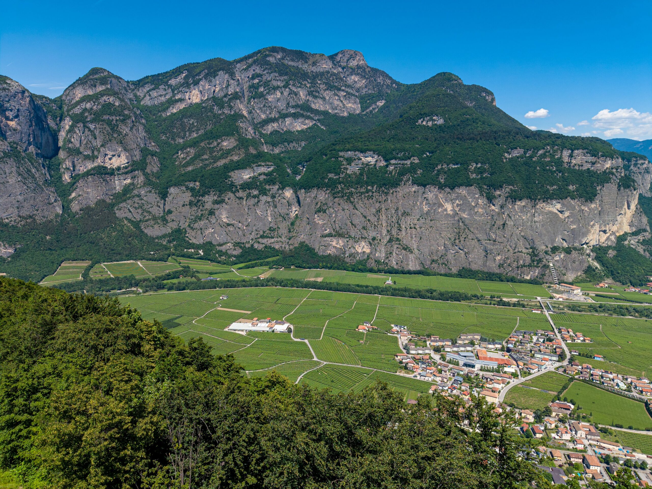 Campo Rotaliano