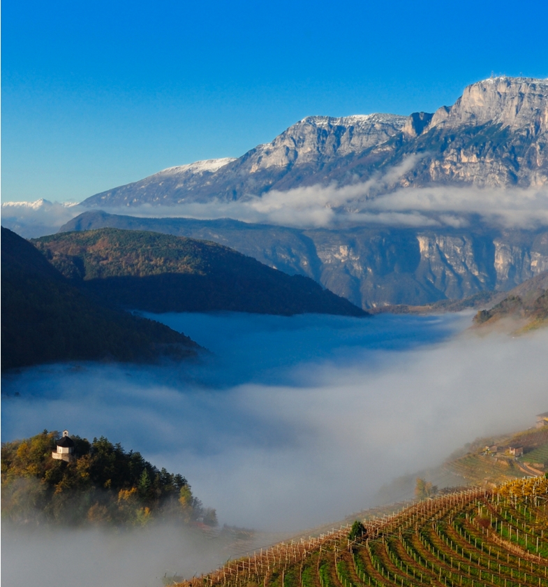 Trentodoc