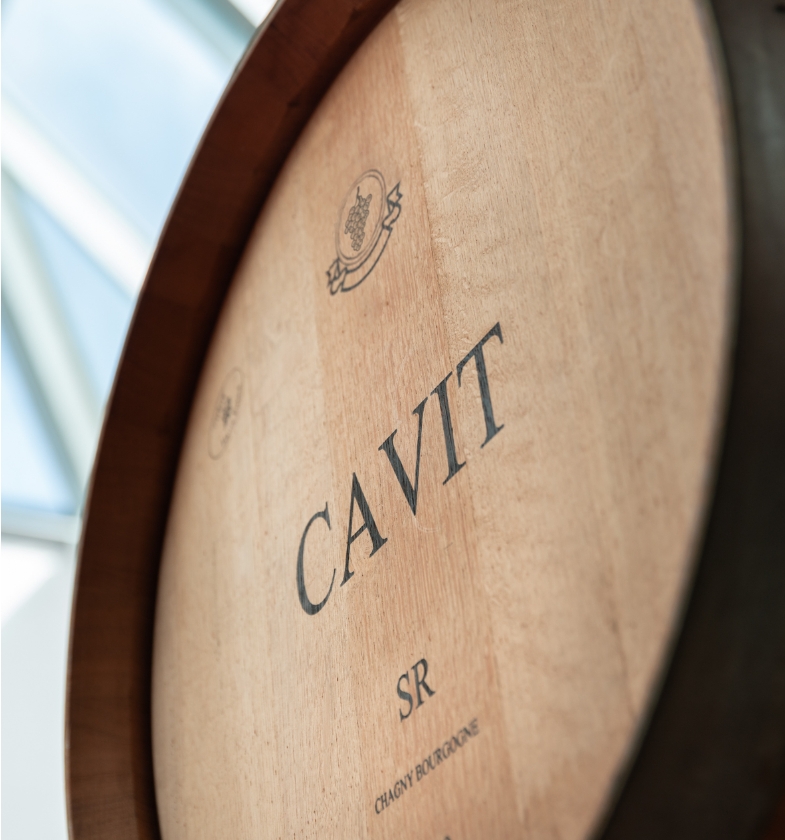 Botte Cavit